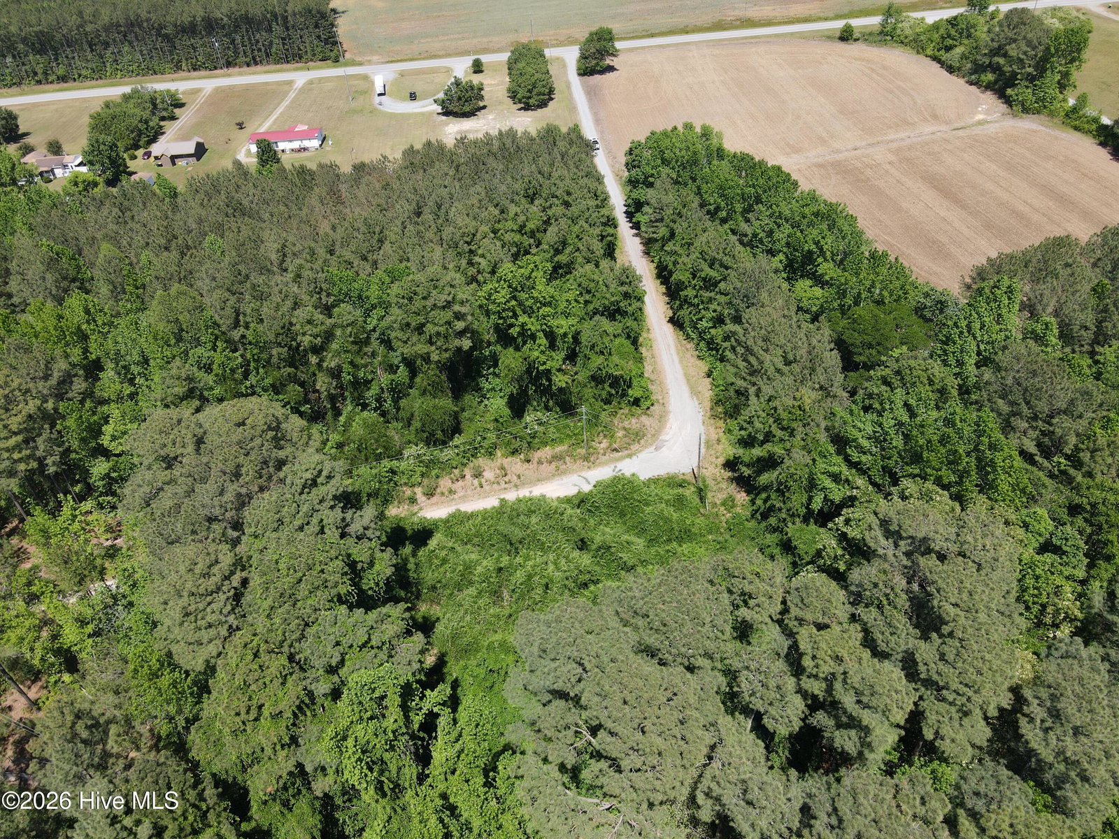 9780 U.S. 158, Conway, NC 27820 — photo 4