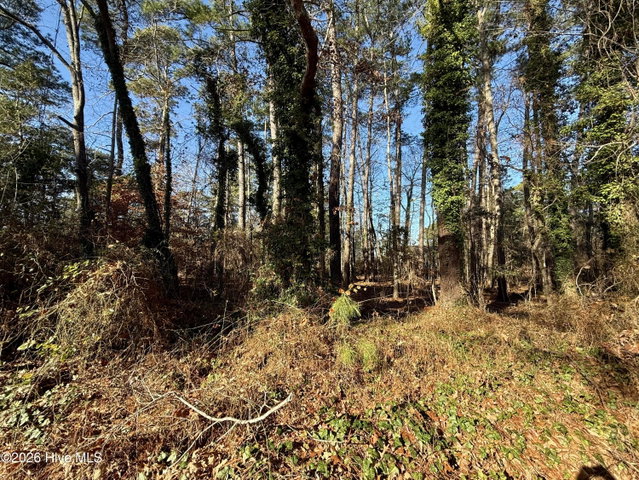 0 Alexander Lane, Williamston, NC 27892 — photo 10