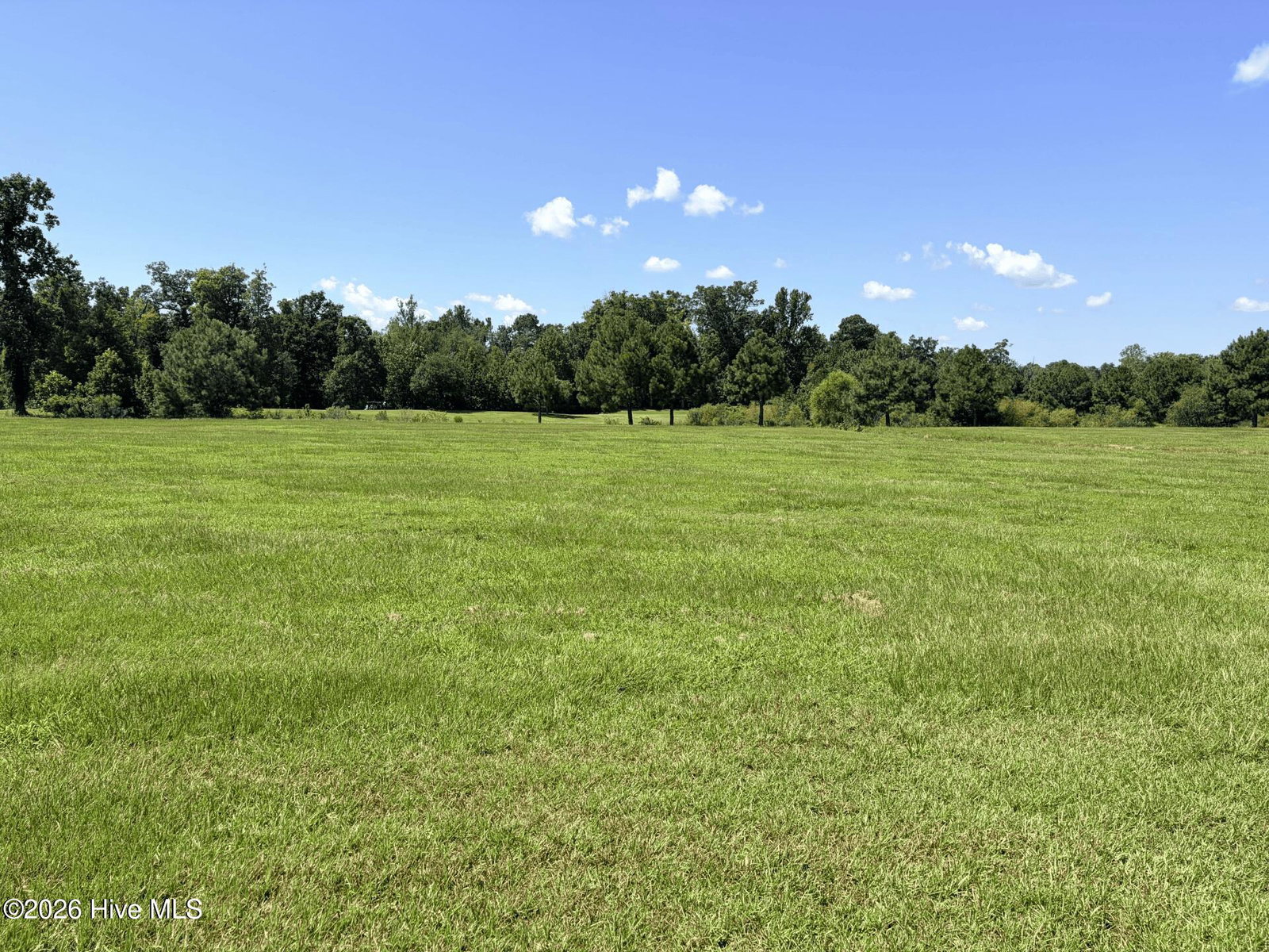 135-137 344 W Royal Way, Merry Hill, NC 27957 — photo 2
