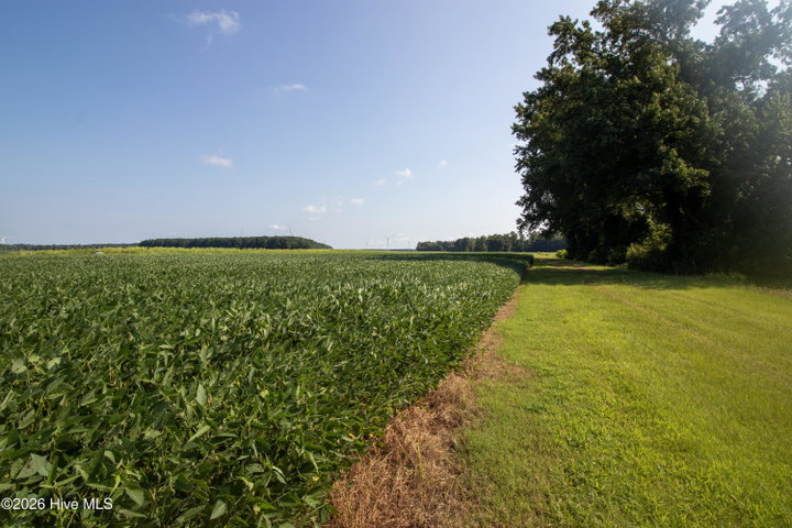 00 Swamp Road, Hertford, NC 27944 — photo 2
