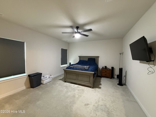 110 Spoonbill Loop, Elizabeth City, NC 27909 — photo 23