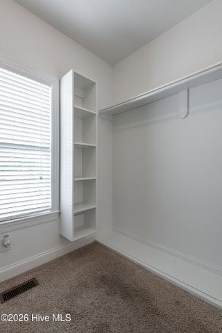 308 Guiness Drive, Winterville, NC 28590 — photo 35