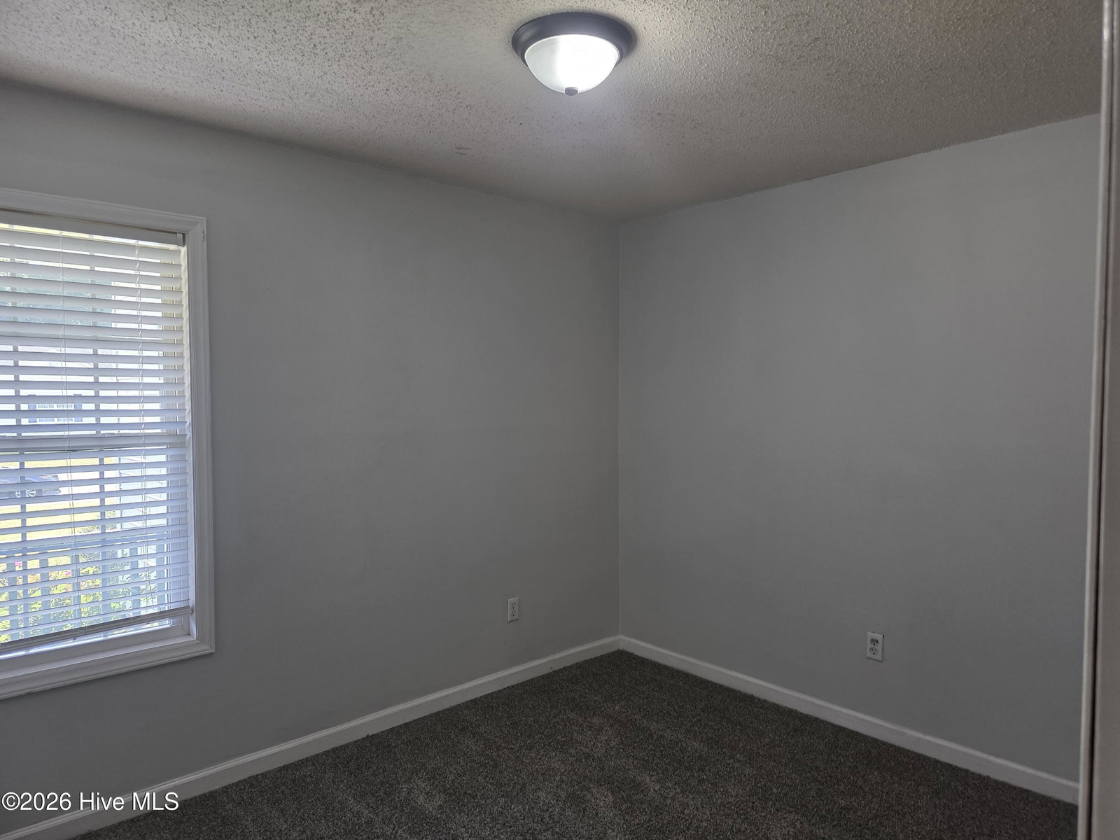 303 Olive Branch Boulevard, Grifton, NC 28530 — photo 4