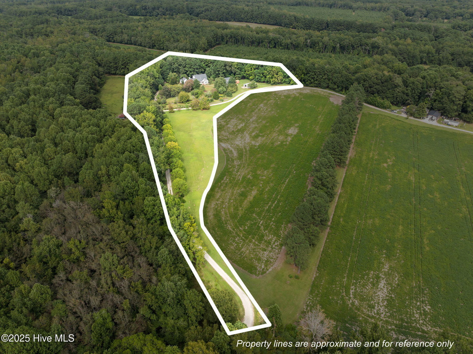 7464 Nc 43 N, Macclesfield, NC 27852 — photo 5