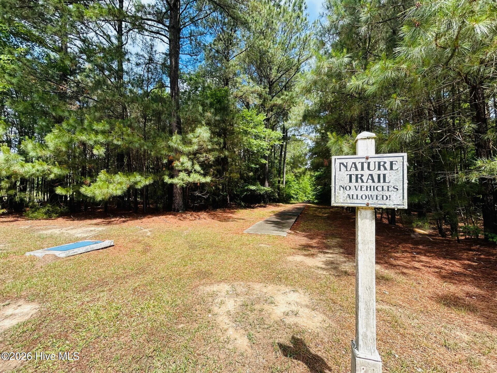38 38 Calm Harbor Street, Hertford, NC 27944 — photo 4