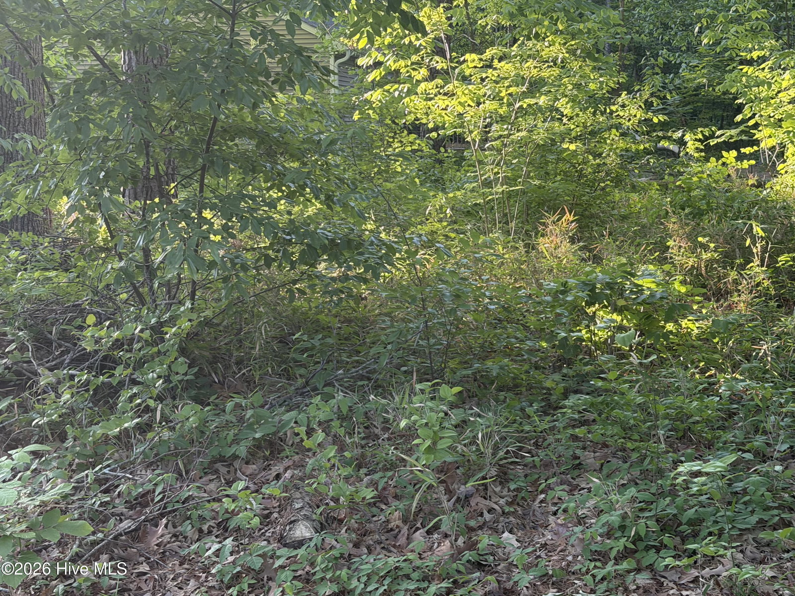 012-F 12 Holiday Island, Hertford, NC 27944 — photo 3