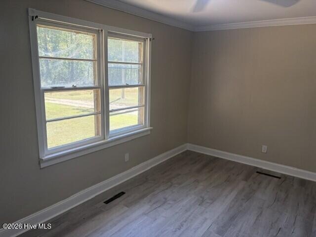 146 Cumbo Road, Rich Square, NC 27869 — photo 5