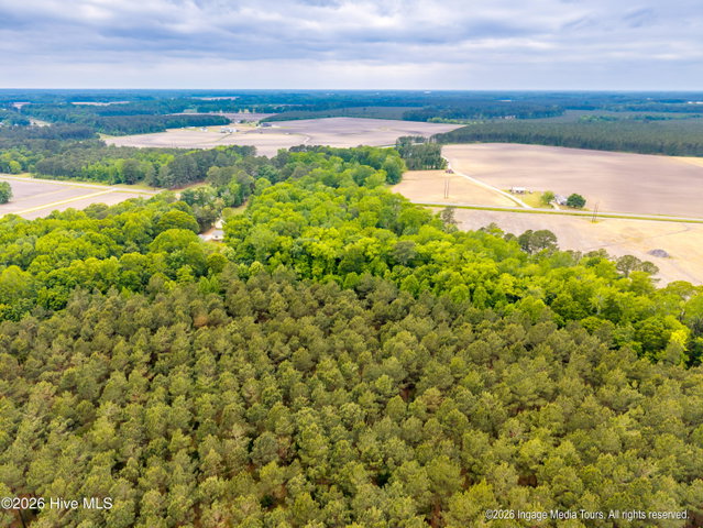 1952 Whichard Cherry Lane Road, Stokes, NC 27884 — photo 59