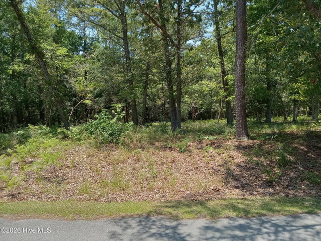 539 9 River Heights Trace image