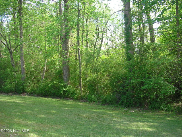 3128 Ruth Court, Greenville, NC 27834 — photo 28