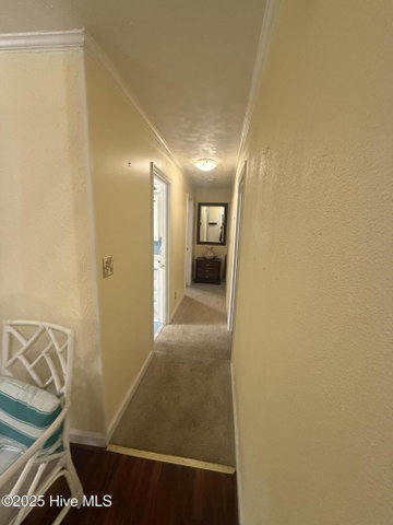 4268 Nc Highway 32 N, Plymouth, NC 27962 — photo 18