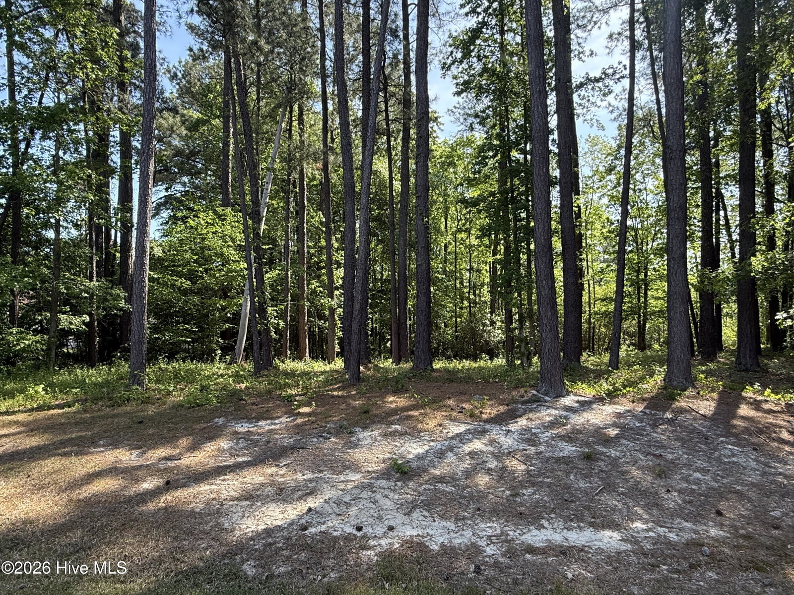 14 Greenwood Drive, Hertford, NC 27944 — photo 3