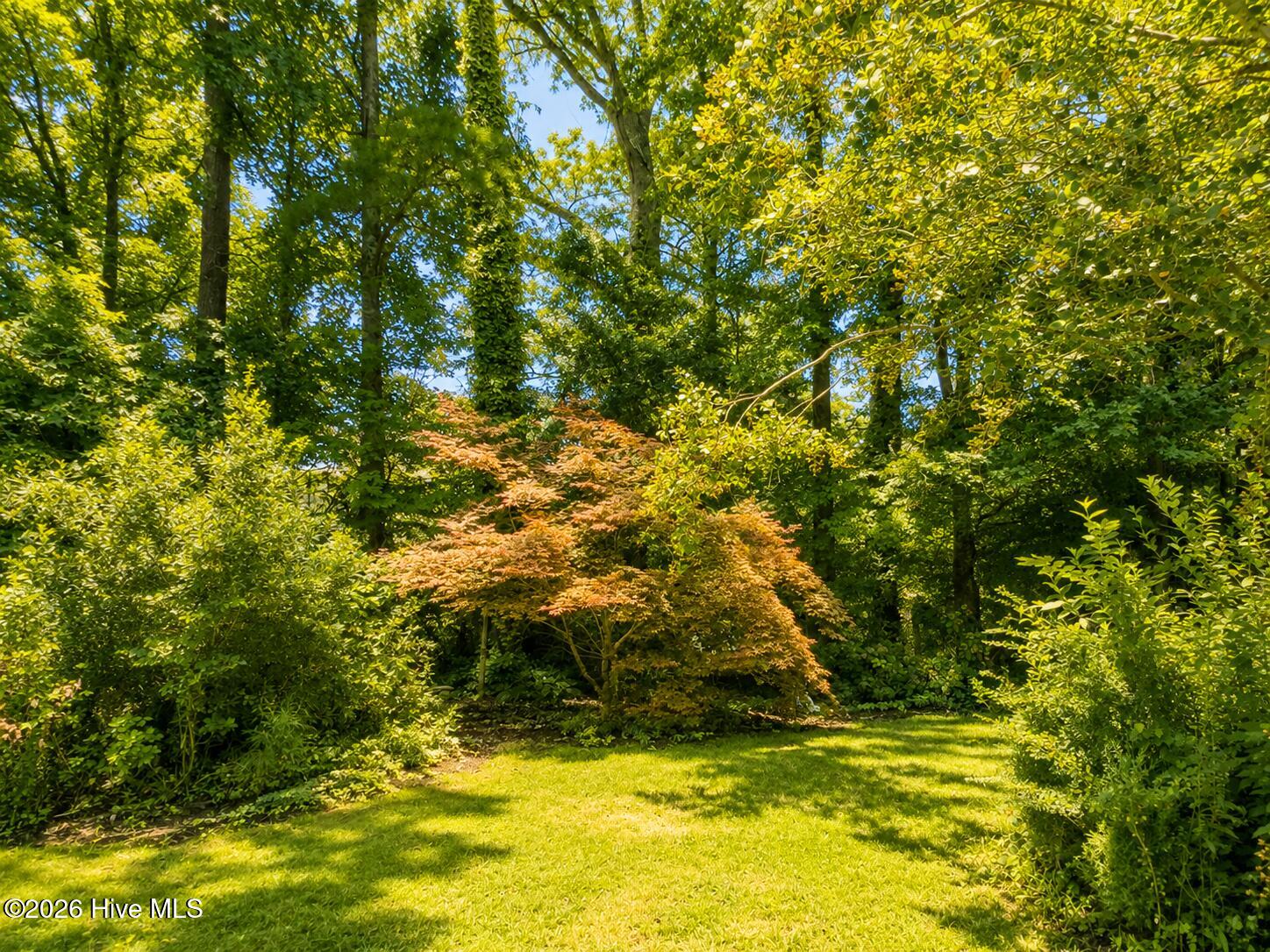 110 Chesterfield Drive, Elizabeth City, NC 27909 — photo 5