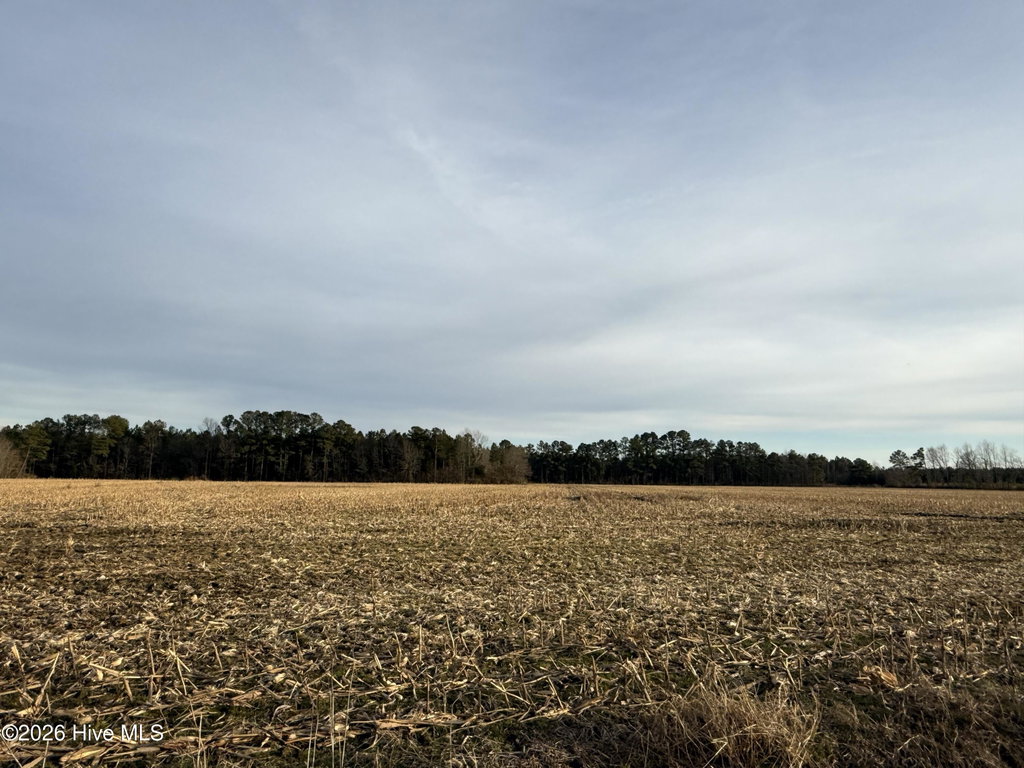 Lot 22 22 Beasley Road, Roper, NC 27970