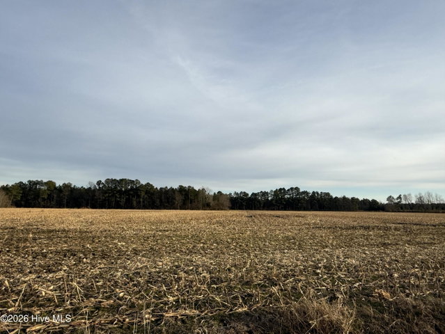 Lot 22 22 Beasley Road, Roper, NC 27970 — photo 1