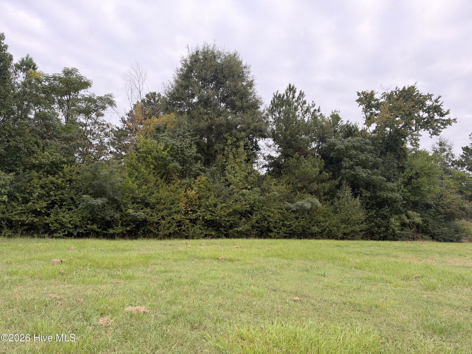 144 Deerfield Road, Garysburg, NC 27831 — photo 4