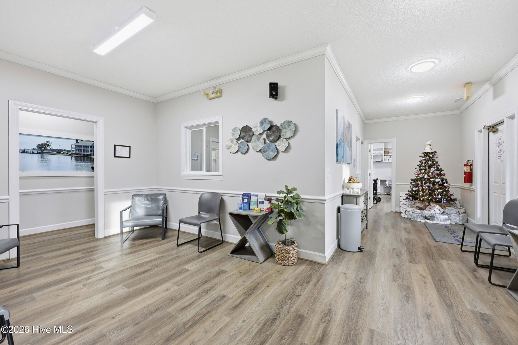 312 W Queen Street, Edenton, NC 27932 — photo 4