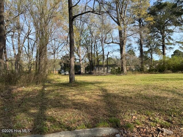 Tbd Hill Street, Ahoskie, NC 27910 — photo 3