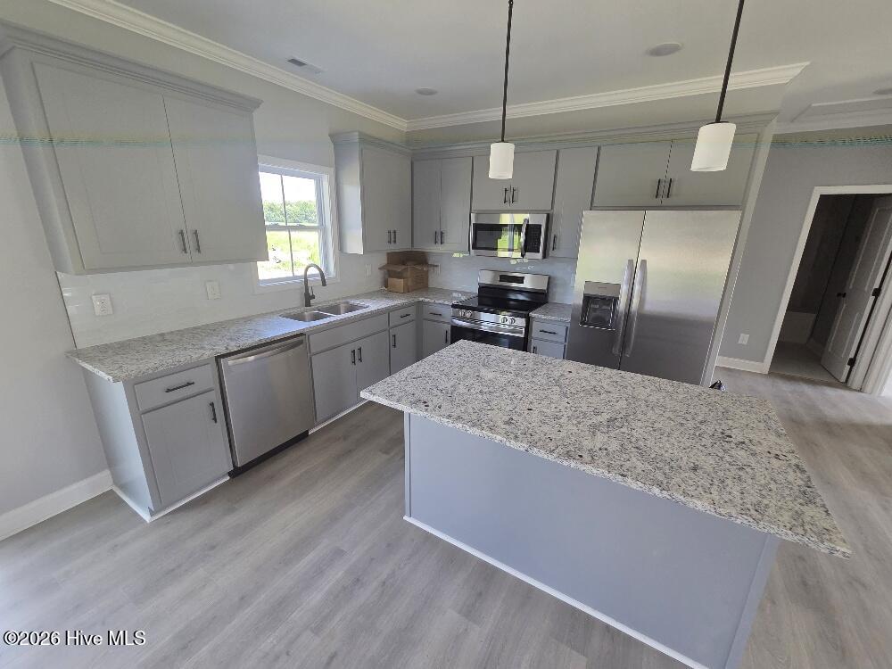651 David Nobles Road, Robersonville, NC 27871 — photo 4