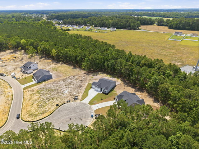 3003 Tucker Hill Drive, Grimesland, NC 27837 — photo 47