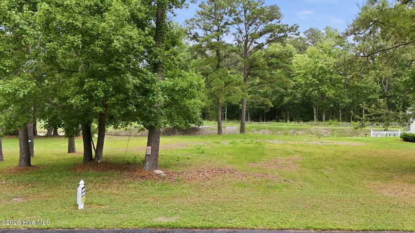 106 Cedar Tree Lane SW image