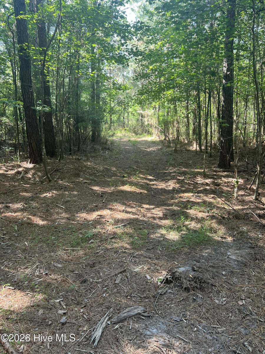 2364 Nc 102 E, Ayden, NC 28513 — photo 3