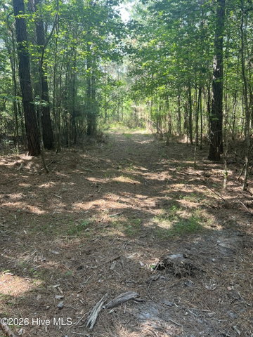 2364 Nc 102 E, Ayden, NC 28513 — photo 3
