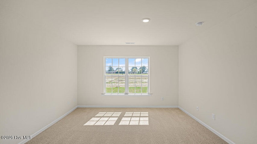 4816 Martha Wynd Way, Farmville, NC 27828 — photo 23