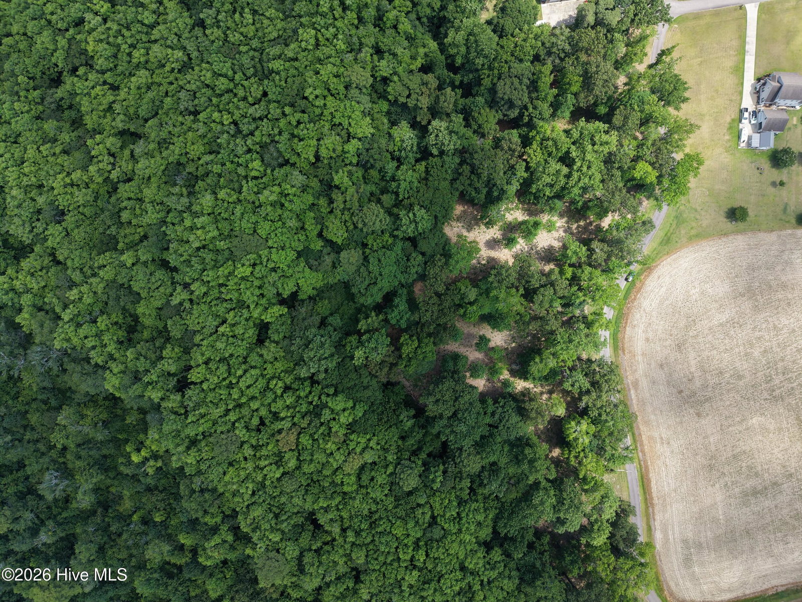 462 Batchelor Bay Drive, Windsor, NC 27983 — photo 5