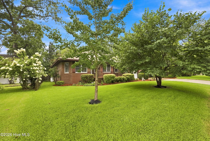 1113 Riverside Avenue, Elizabeth City, NC 27909 — photo 7
