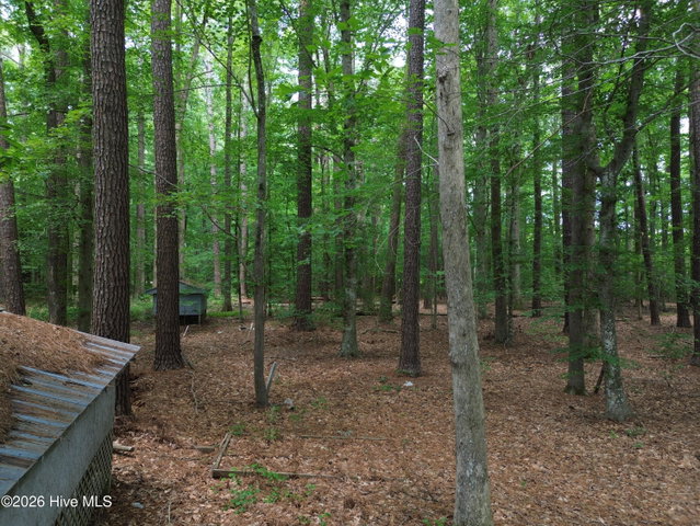417 Hastings Lane, Elizabeth City, NC 27909 — photo 63