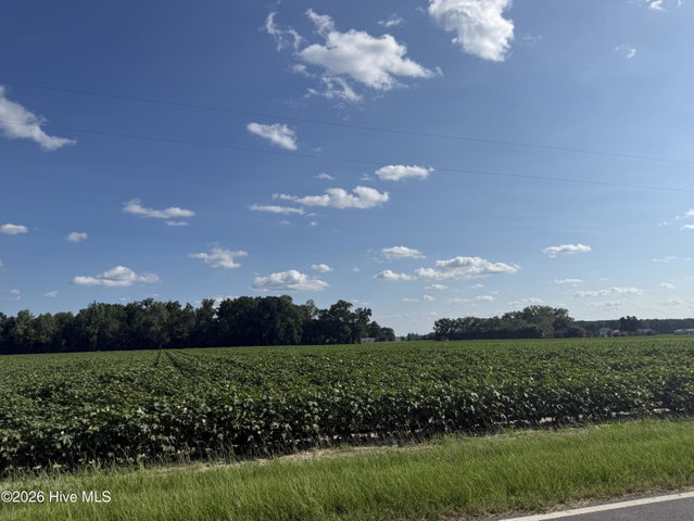 3085 Fire Dept Road, Williamston, NC 27892 — photo 15