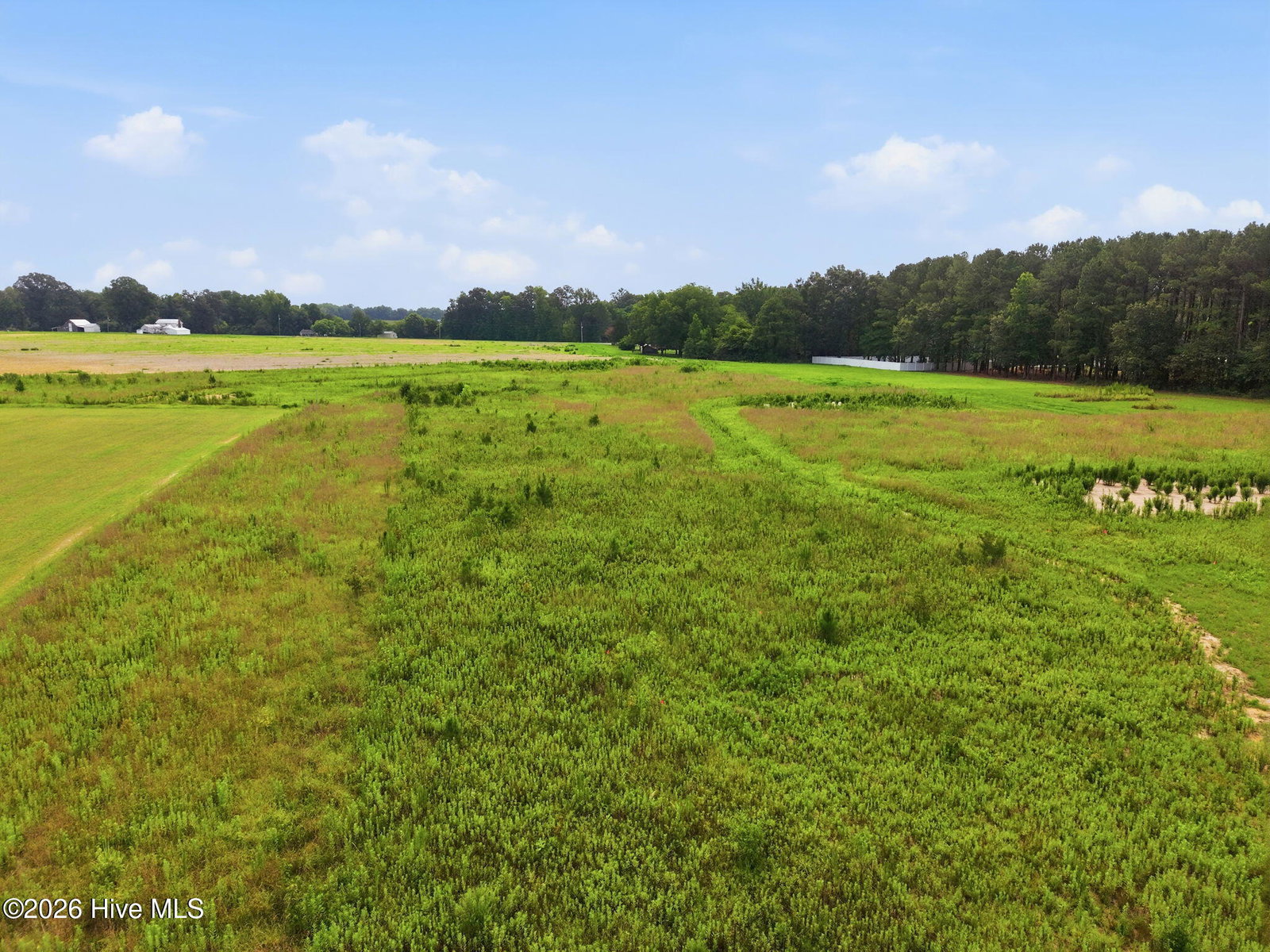 4335 Lot 4 J C Galloway Road, Greenville, NC 27858 — photo 4