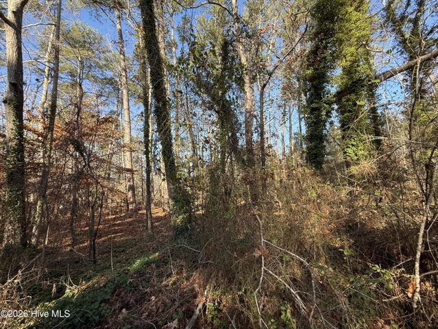 0 Alexander Lane, Williamston, NC 27892 — photo 11