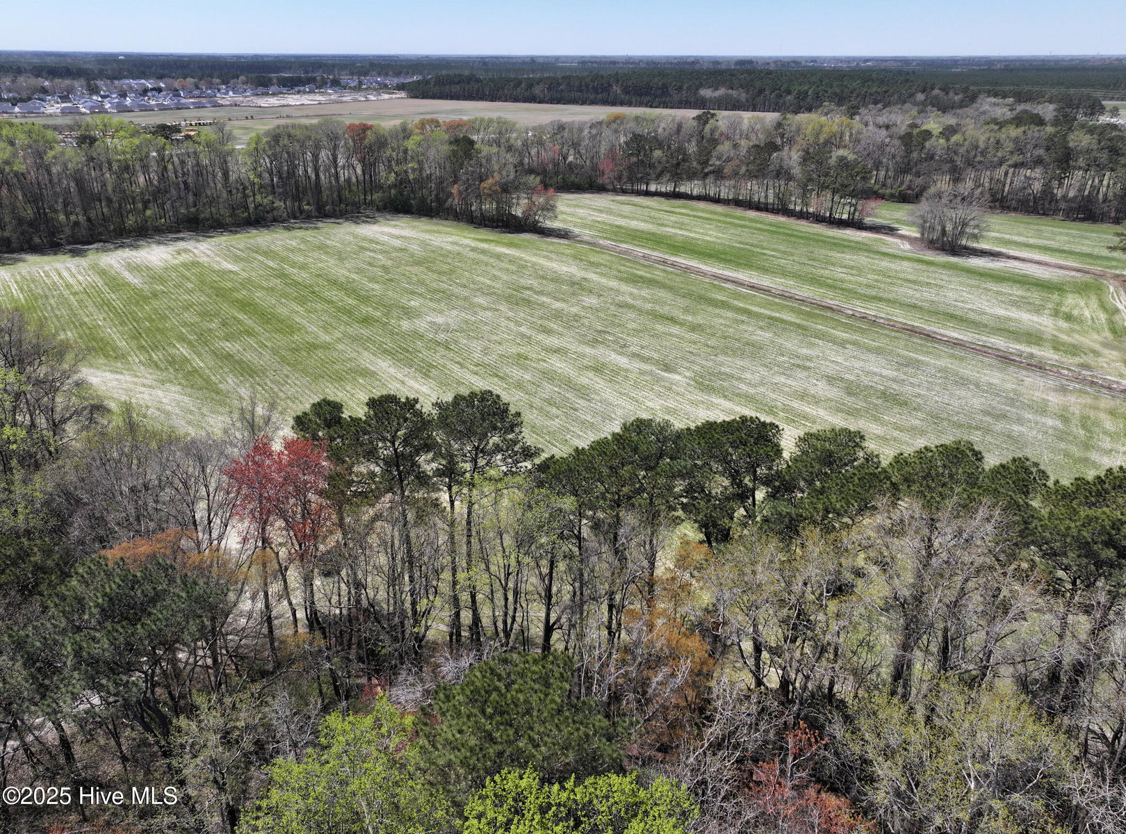 0 Allen Road, Greenville, NC 27834 — photo 5
