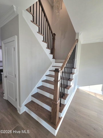 3709 Cancion Street, Greenville, NC 27858 — photo 12