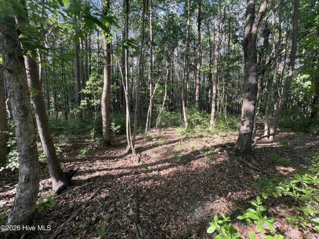 0 Tract 1 Nc 30, Stokes, NC 27884 — photo 10