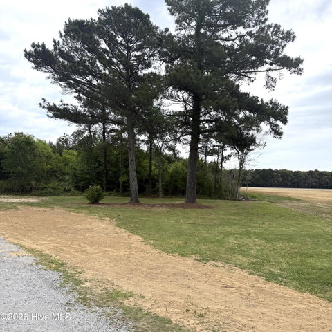 300 Whitemon Lane, Edenton, NC 27932 — photo 31