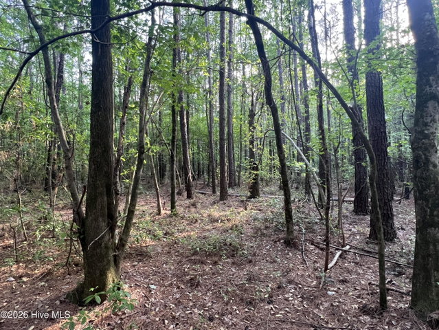 0 Tract 1 Nc 30, Stokes, NC 27884 — photo 11