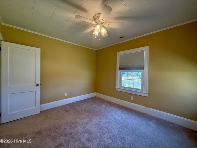 3773 Bear Grass Road, Williamston, NC 27892 — photo 43