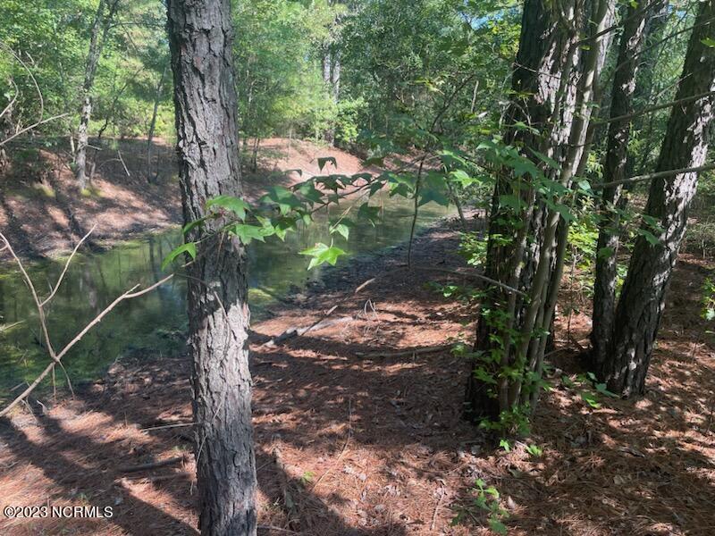 6802 Nc 33, Tarboro, NC 27886 — photo 4