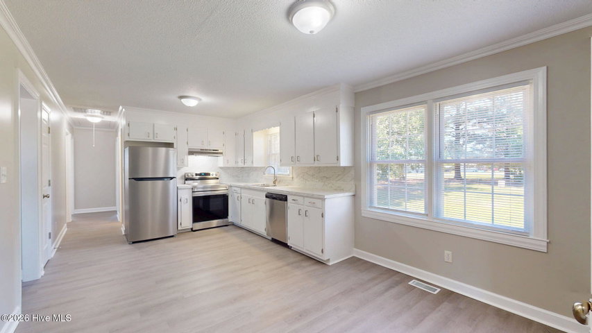 1165 Old Snow Hill Road, Grifton, NC 28530 — photo 4