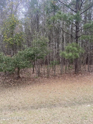 Lot 88 88 Johnson Drive, Hertford, NC 27944