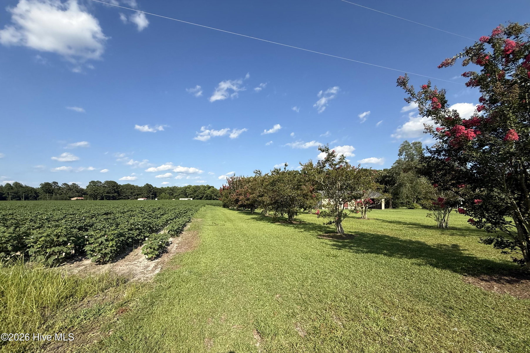 3085 Fire Dept Road, Williamston, NC 27892 — photo 2