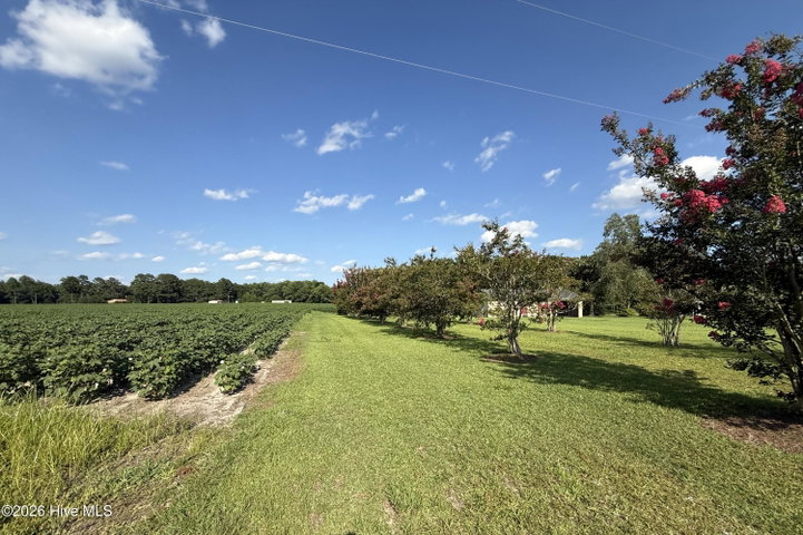 3085 Fire Dept Road, Williamston, NC 27892 — photo 2