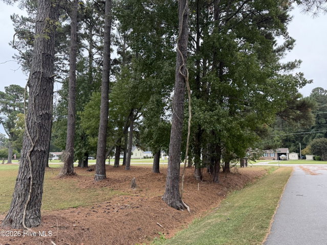 0919 Soundside Road, Edenton, NC 27932 — photo 8