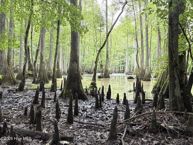 0 Kirkman Road, Robersonville, NC 27871 — photo 25