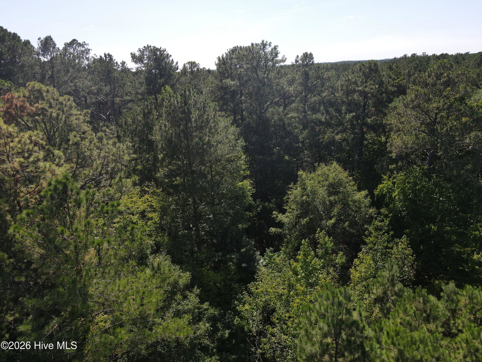 Tbd Nc 305, Jackson, NC 27845 — photo 2