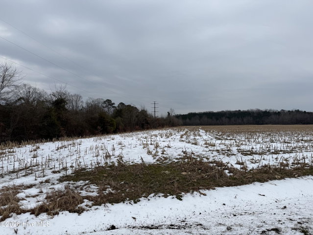 Lot 2 2 Beasley Road, Roper, NC 27970 — photo 2