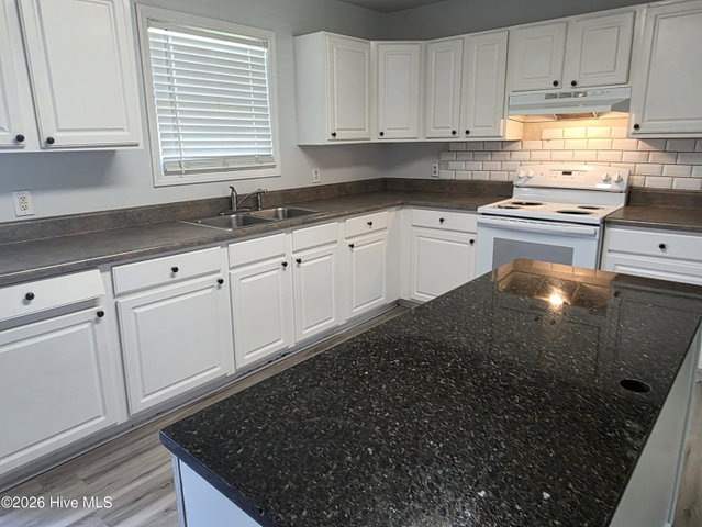 303 Olive Branch Boulevard, Grifton, NC 28530 — photo 20
